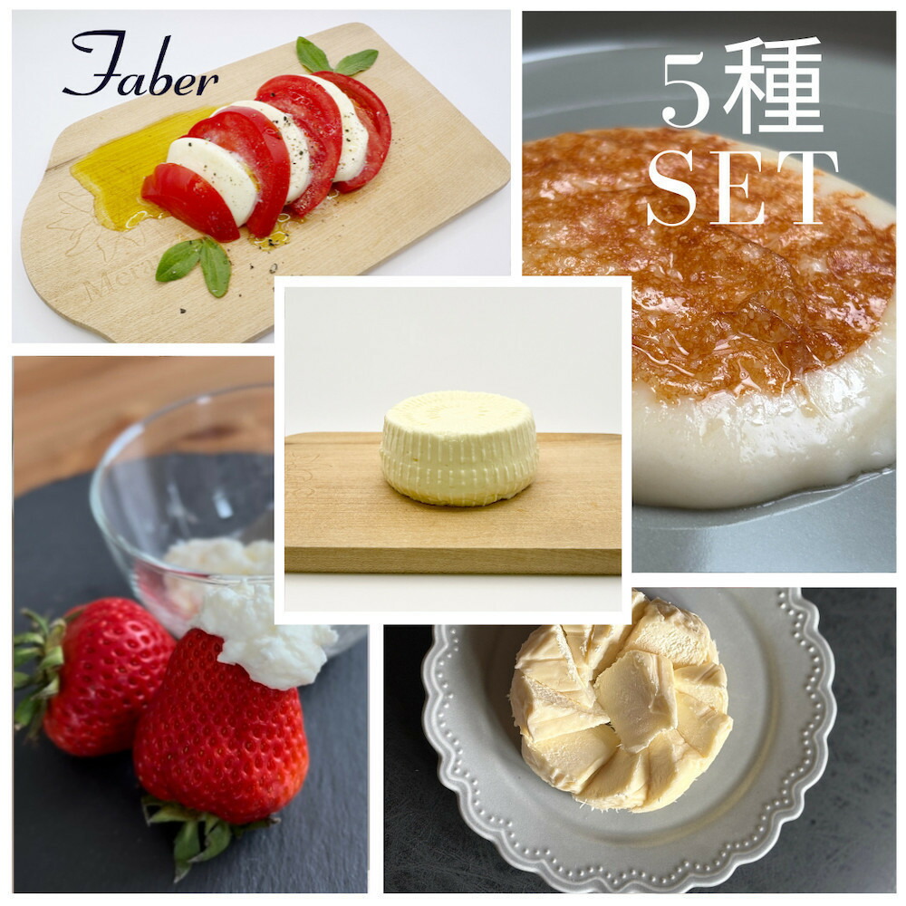 【ふるさと納税】＜定期便6回＞【MOFコンテスト金賞受賞】ファーベル5種のチーズセット | 豊田市 チーズ 手作り モッツアレラ 人気 おすすめ 送料無料