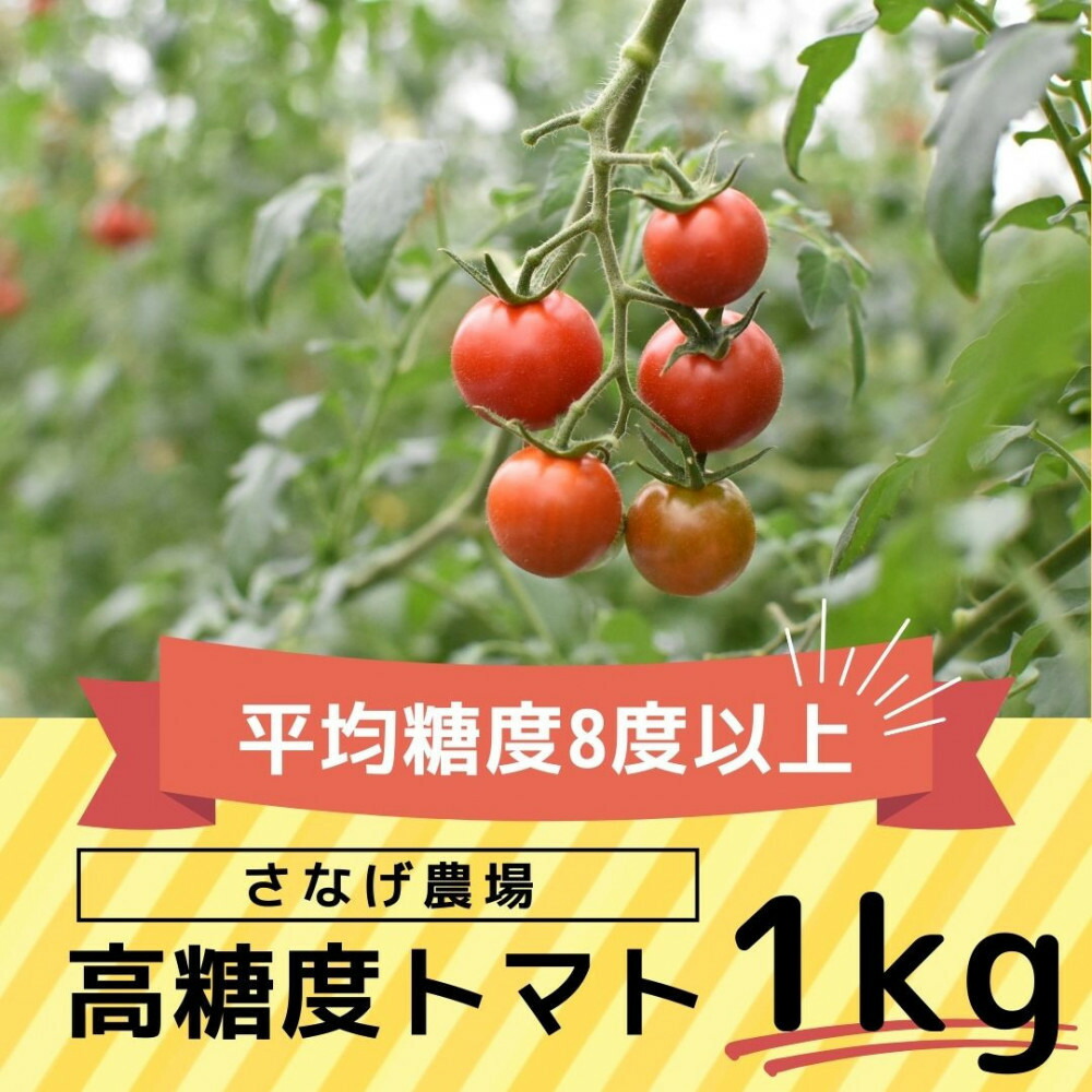【ふるさと納税】高糖度トマト【瑞甘】1kg | 野菜 トマト ミディトマト 瑞甘 食品 人気 おすすめ 送料無料
