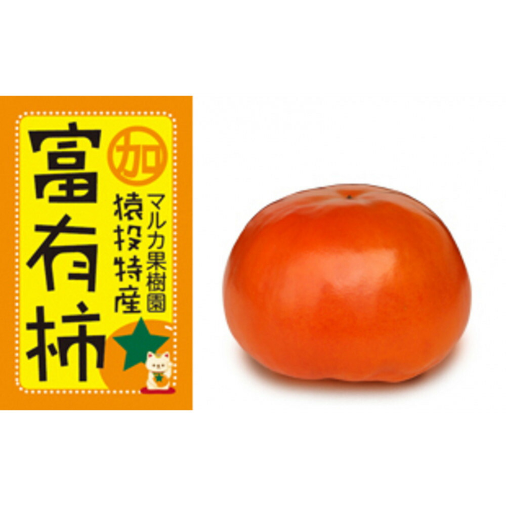 【ふるさと納税】＜先行受付＞富有柿　約4.6kg【2026年11月上旬以降順次発送】 | フルーツ 果物 くだもの 食品 人気 おすすめ 送料無料｜愛知県豊田市