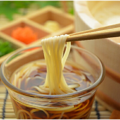 【ふるさと納税】和泉手延べ麺　半生もどし長そうめん・乾ひやむぎ(計19人前)　たつみ麺店(STSSD)【1230118】｜愛知県安城市