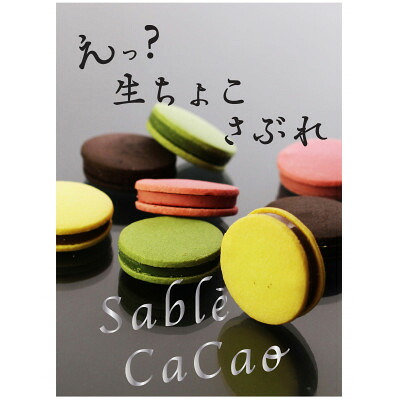 【ふるさと納税】デ・レーヴのサブレ・カカオ 8個入【配送不可地域:離島】【1283388】|愛知県安城市