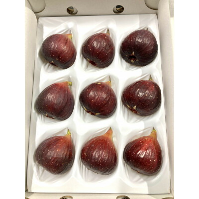 【ふるさと納税】皮がおいしい栽培期間中農薬不使用の完熟いちじく　約1kg　愛知県安城産【配送不可地域：離島・北海道・沖縄県】【1619339】