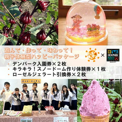 【ふるさと納税】デンパーク入園券2枚+ローゼルジェラート引換券2枚+スノードーム作り体験券1枚/愛知県安城市【1686741】