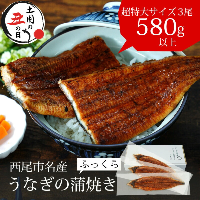 【ふるさと納税】＼ 土用 丑の日 ／うなぎ 西尾 三河産  蒲焼  超特大 3尾（合計580g～600g）A091-26【冷凍便】<br>うなぎ 国産 三河産 愛知県産 西尾市 鰻 蒲焼き ウナギ 鰻の蒲焼き タレ付き たれセット 山椒 土用の丑の日 丑の日 土用 惣菜 食品 うな丼 MB