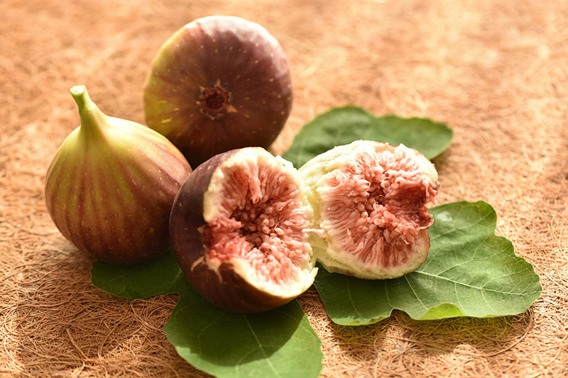 楽天市場 ふるさと納税 A023 愛楽農園の極上いちじく 380ｇ 4パック 無花果 イチジク フルーツ 国産 西尾産 果物 愛知県西尾市