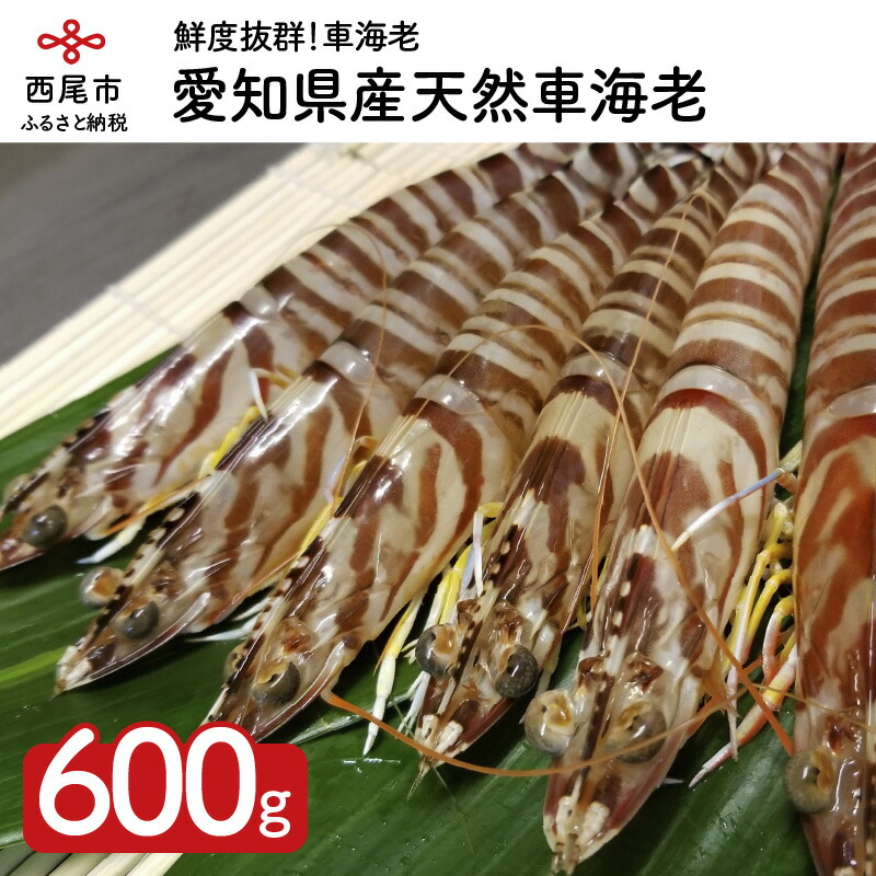 高質で安価 ふるさと納税 K010 愛知県産天然車海老600ｇ セール品 Lanmexx Com