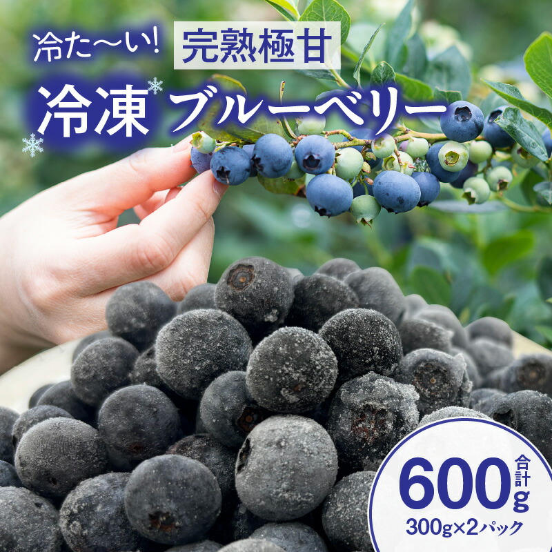 【ふるさと納税】【冷た～い】完熟極甘ブルーベリー(冷凍)600g・N069 果物 フルーツ ケーキ 旬のフルーツ 季節のフルーツ 甘い デザート おすすめ 国産 冷凍ブルーベリー  ギフト プレゼント お祝い 内祝い お返し 贈り物 贈答 贈答用 食品 愛知県 西尾市 送料無料