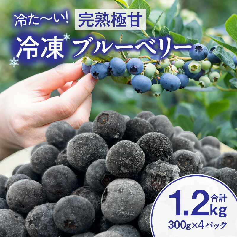 【ふるさと納税】【冷た～い】完熟極甘ブルーベリー(冷凍)1.2kg・N070 果物 フルーツ ケーキ 旬のフルーツ 季節のフルーツ 甘い デザート おすすめ 国産 冷凍ブルーベリー  ギフト プレゼント お祝い 内祝い お返し 贈り物 贈答 贈答用 食品 愛知県 西尾市 送料無料
