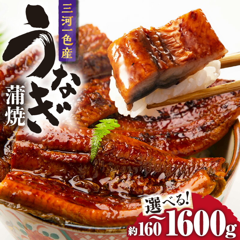 【ふるさと納税】三河一色産うなぎ蒲焼【選べる尾数！】うなぎ 国産 一色産 三河産 愛知県産 鰻 炭火焼 魚介類 グルメ 蒲焼 簡単調理 お取り寄せ 愛知県 西尾市 冷凍便 送料無料 O065-SKU