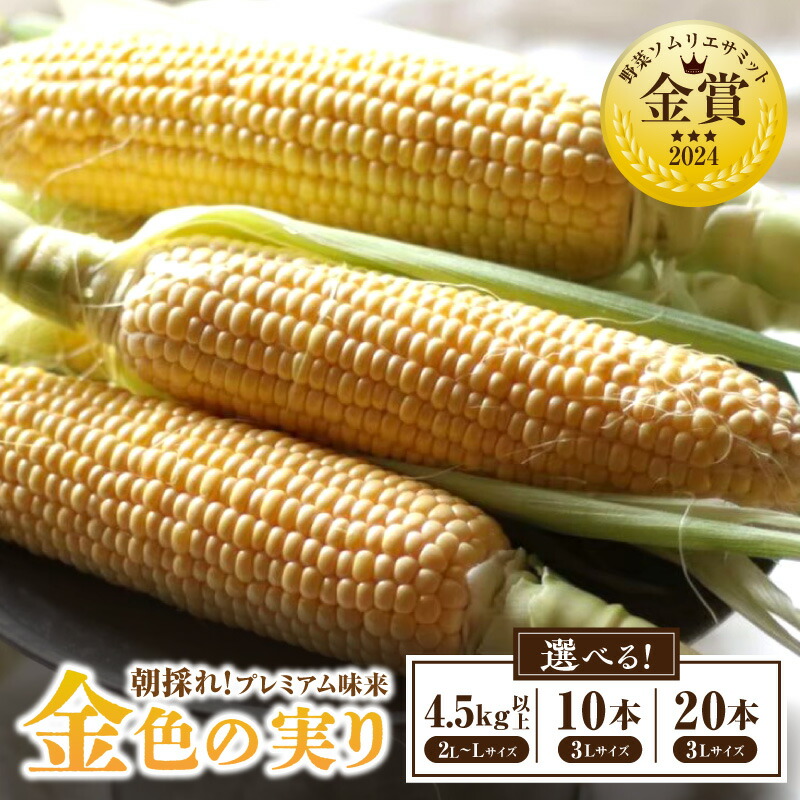 【ふるさと納税】《容量が選べる》朝採れ！プレミアム味来 ～金色の実り～ ・S064-SKU 味来 トウモロコシ コーン スイートコーン 朝採れ 産地直送 産直 国産 愛知県産 野菜 夏野菜 ベジタリアン  農産物 農作物 甘い 贈答 贈り物 ギフト プレゼント 愛知県 西尾市 送料無料
