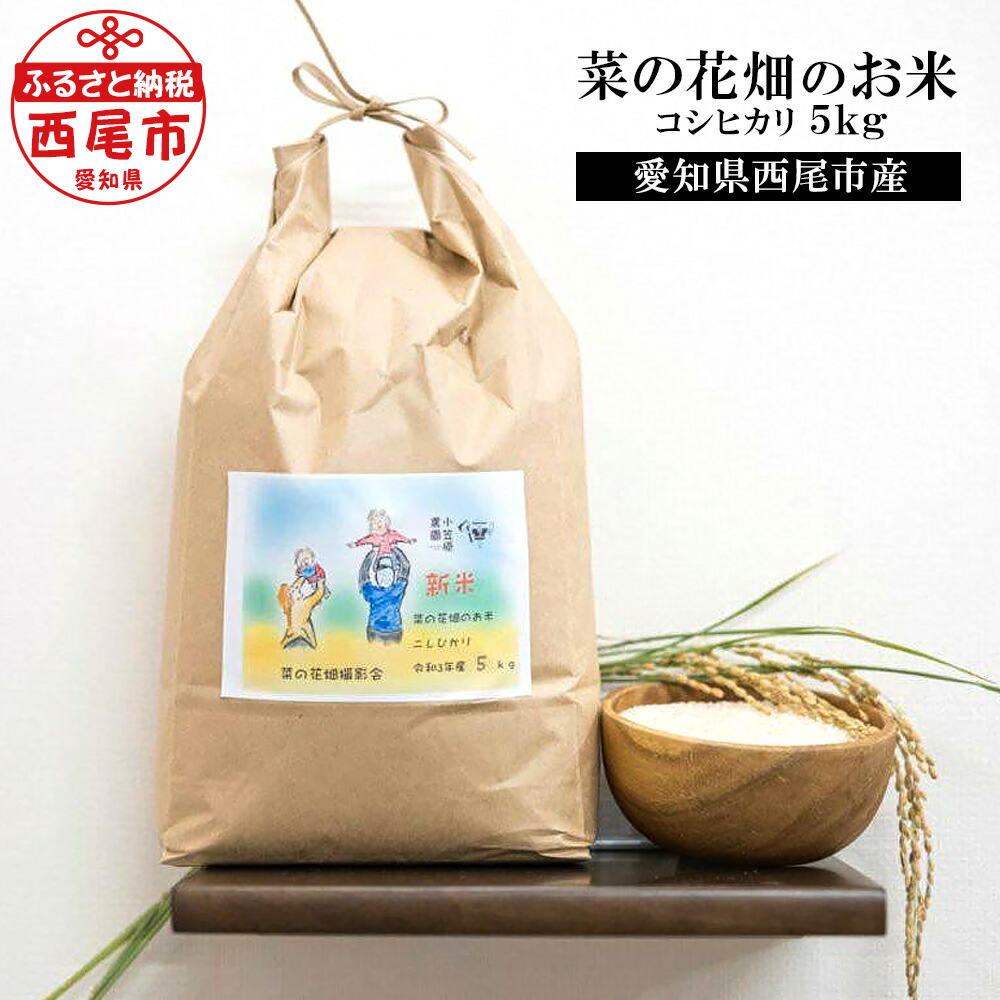 ふるさと納税 西尾市 K196 こしひかり5kg ミルキークイーン5kg 令和3年産 西尾産お米10kg 蔵 令和3年産