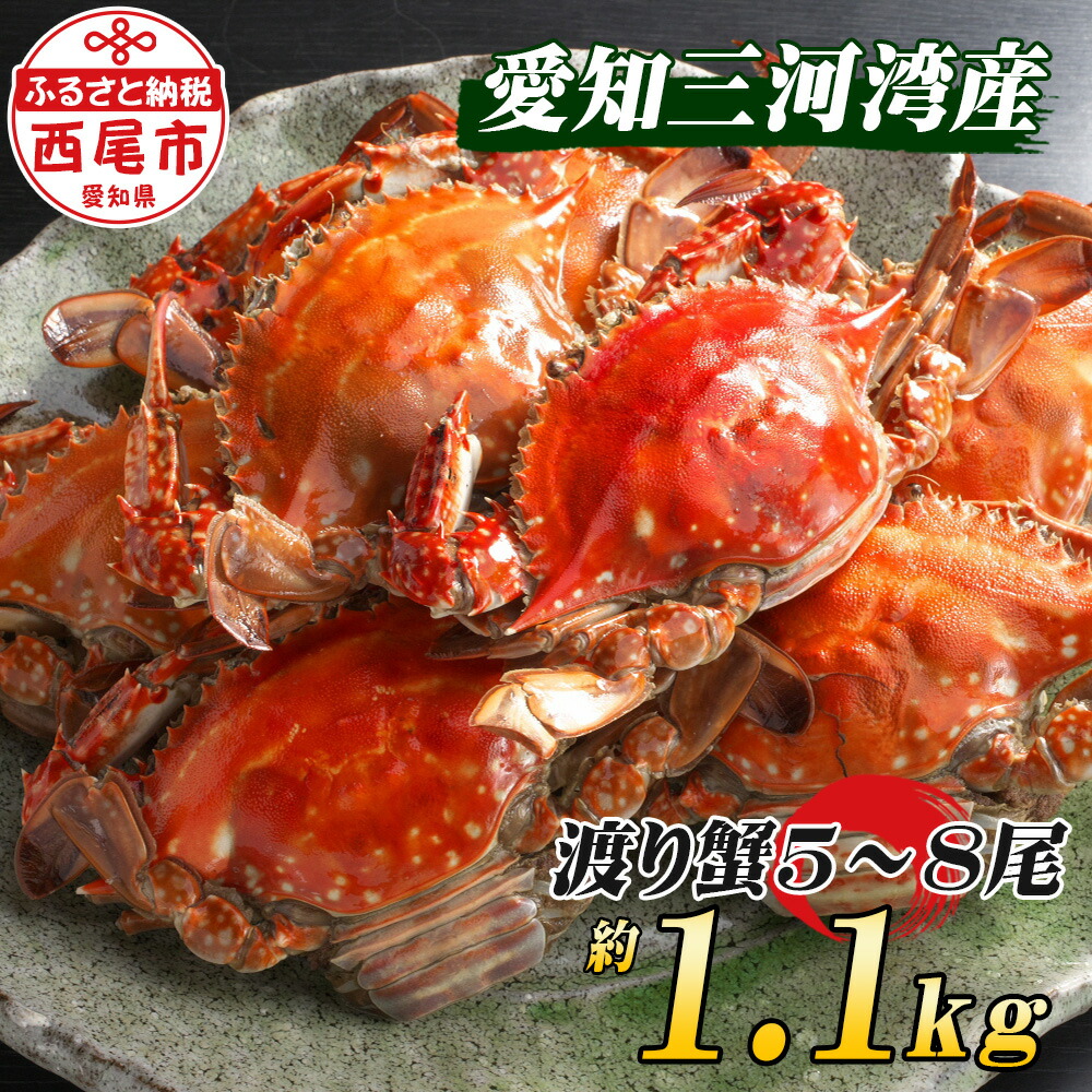 ふるさと納税 A0 午前茹で交通機関ガニ 冷凍雁書 愛知県三河湾生ずる ワタリガニ Sefhouston Org