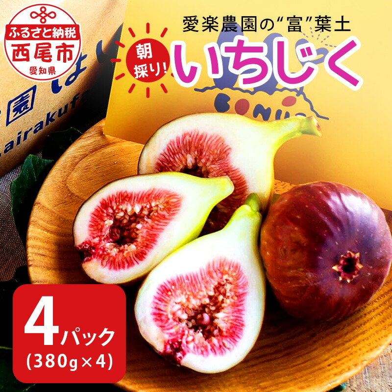 【ふるさと納税】愛楽農園の