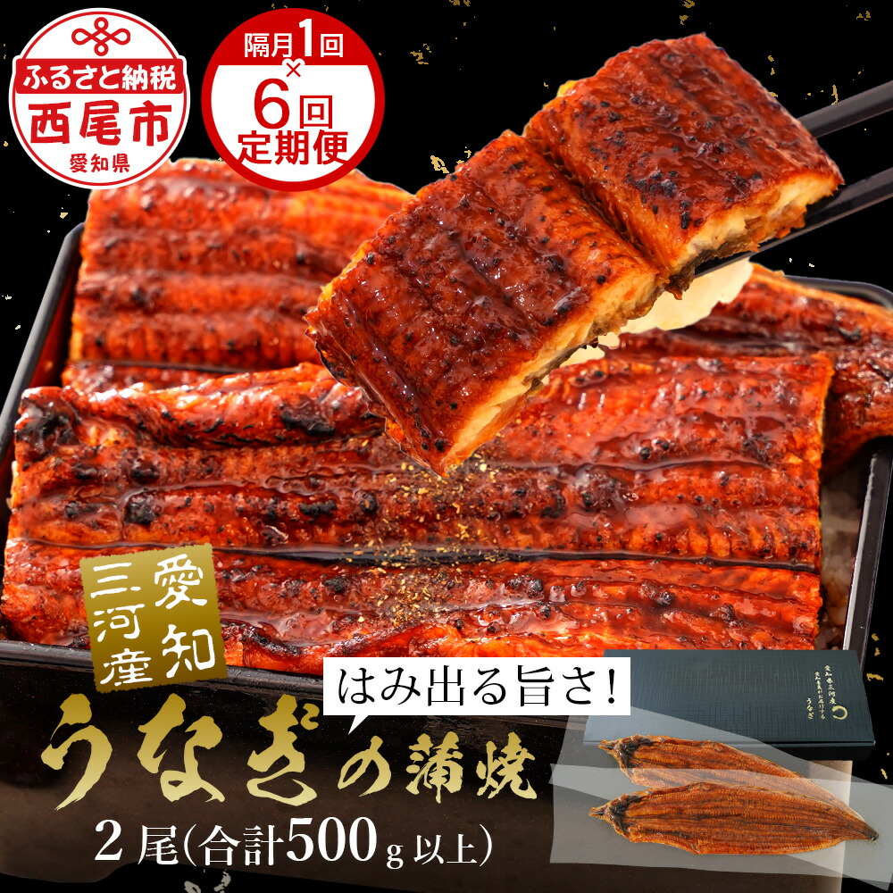 【ふるさと納税】【定期便】うなぎ 西尾 国産 三河産 超おばけ 蒲焼き ２尾(合計500ｇ以上)×6回（隔月1回 1年間）A134-126【冷凍便】<br>うなぎ 西尾市 愛知県産 鰻 ウナギ タレ付き たれセット さんしょう 特大以上 海鮮 魚介類 食品 MB