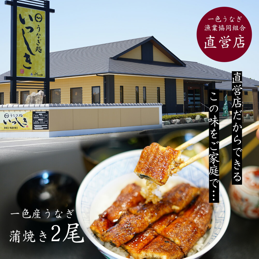 65%OFF!】 一色産うなぎ 炭焼き蒲焼2尾 一尾当たり約155g 職人手焼き うなぎ処いっしき で炭火焼き I034MB fucoa.cl