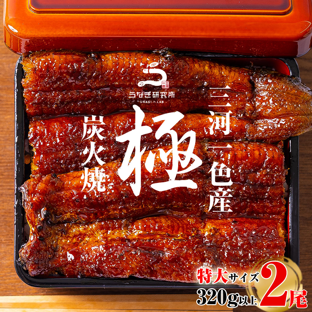 【ふるさと納税】＼期間限定／ 三河一色産うなぎ蒲焼特大2尾（計320g以上）・R007-17 うなぎ 鰻の蒲焼 蒲焼 鰻蒲焼 たれ タレ付き 三河一色産 ブランド鰻 一色産うなぎ 肉厚 脂乗り 国産 愛知県産 特産品 グルメ ギフト 冷凍 西尾市 送料無料｜愛知県西尾市