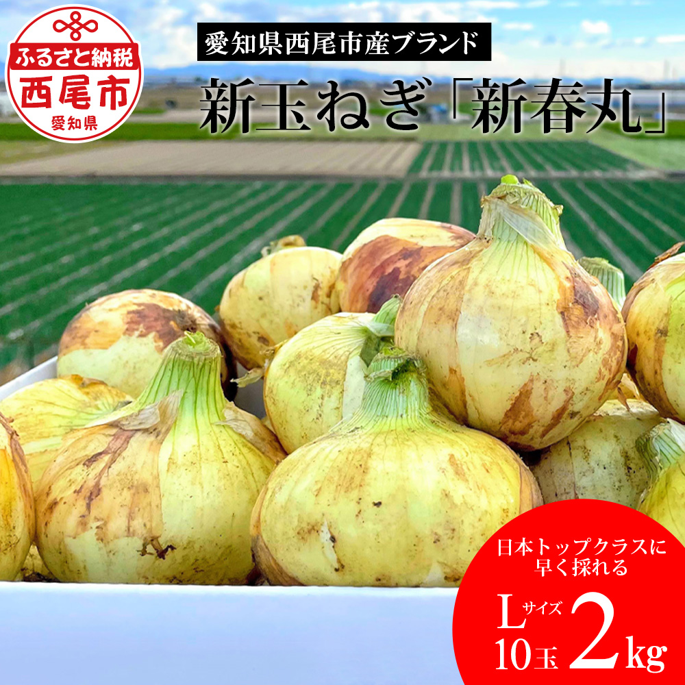 愛知県西尾市産　シャインマスカット入り　野菜の詰め合わせ　80サイズ