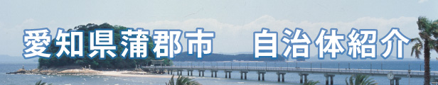 楽天市場】【ふるさと納税】G0318 天使のトランポリン クッション : 愛知県蒲郡市