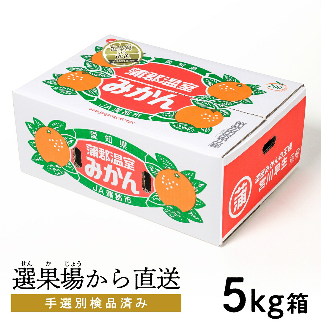 【ふるさと納税】G0356【期間限定】蒲郡温室 みかん 5kg（秀品）ハウスみかん ミカン
