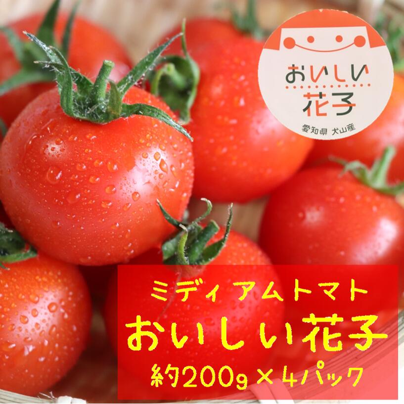 【ふるさと納税】とても甘いトマト「おいしい花子」 ｜ トマト とまと 完熟 国産 フルティカ 甘い 糖度 リコピン 健康 栄養 美容 生活習慣病 ミニトマト ミディアムトマト フルーツトマト 肉厚 800ｇ 送料無料