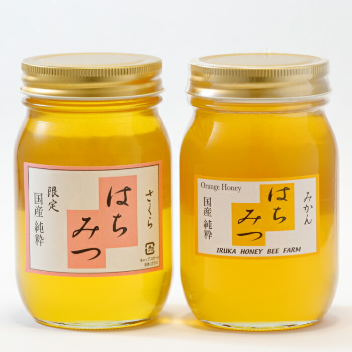 【ふるさと納税】入鹿はちみつ600g ２本セット