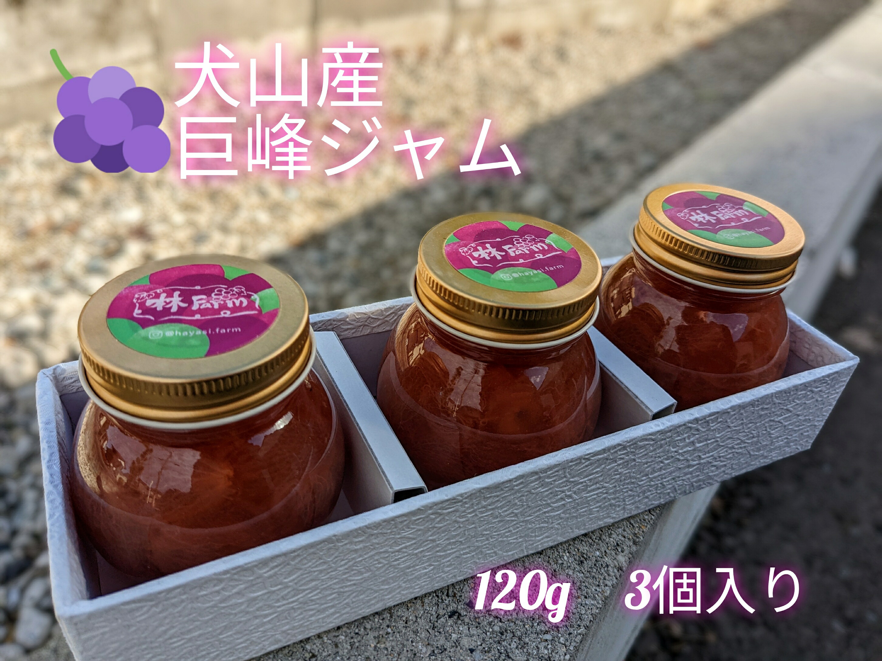 【ふるさと納税】犬山産「巨峰ジャム」120g　3個入り（先行予約） ｜ ジャム セット 3個 ぶどう ブドウ 巨峰 洋菓子 和菓子