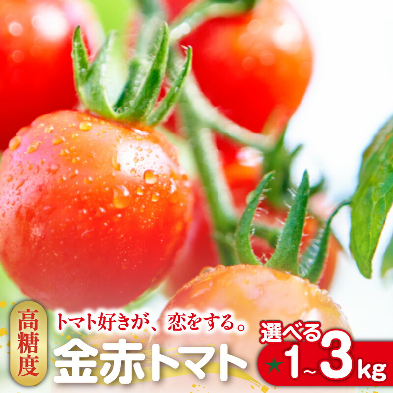 楽天市場】【ふるさと納税】【選べる内容量】ドトマト1号 1kg-2kg