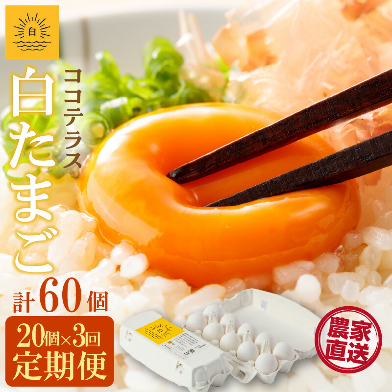 【ふるさと納税】【3ヵ月定期便】ココテラスの朝日（ 白たまご ）15個 + 5個保証【計20個】【 JGAP認証 】農家直送 新鮮 卵 純植物性飼料 飼料にこだわった 卵かけご飯 米たまご 大容量 卵 定期 送料無料