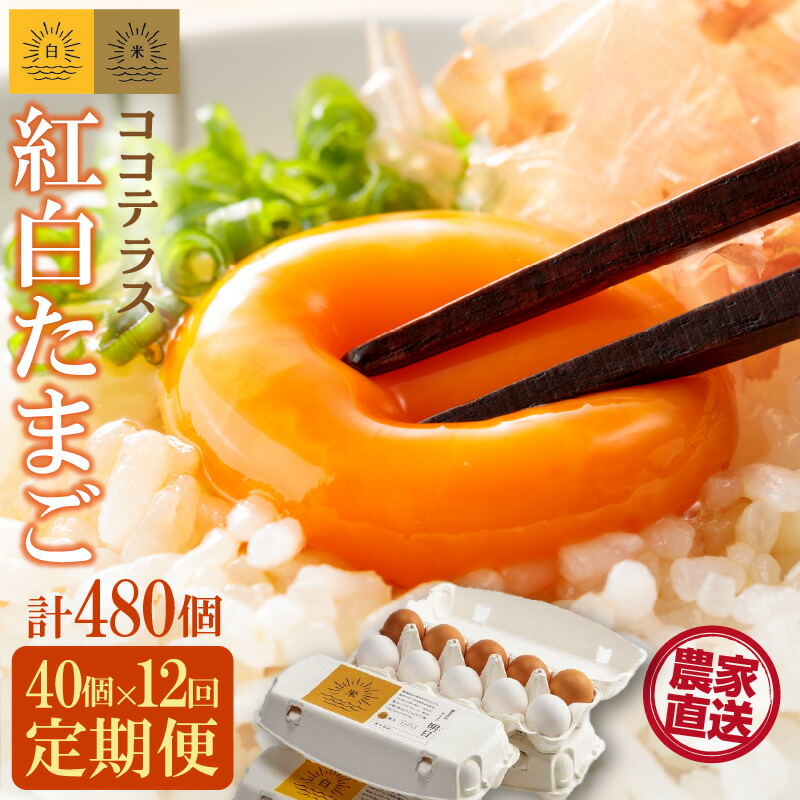 【ふるさと納税】【12ヵ月定期便】ココテラスの紅白たまご 35個 + 5個保証【計40個】【 JGAP認証 】農家直送 新鮮 卵 純植物性飼料 飼料にこだわった 卵かけご飯 米たまご 大容量 卵 定期 送料無料