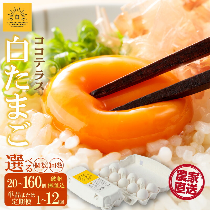 【ふるさと納税】ココテラスの朝日( 白たまご )【選べる個数・お届け回数】【 JGAP認証 】農家直送 新鮮 卵 純植物性飼料 飼料にこだわった 卵かけご飯 米たまご 大容量 卵 送料無料|愛知県常滑市