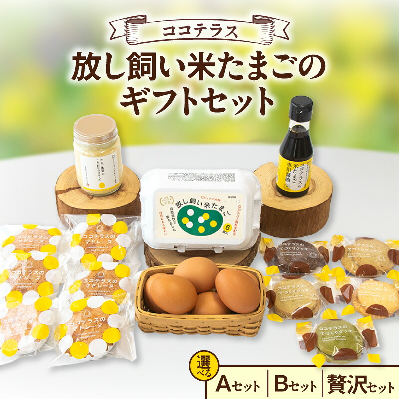 【ふるさと納税】放し飼い米たまごのギフトセット【選べるセット内容：A・B・贅沢ギフトセット】たまごとお菓子の詰め合わせ マドレーヌ クッキー カステラ 醤油 マヨネーズ TKG ギフト プレゼント スイーツ 詰め合わせ セット 菓子 卵 焼き菓子 グルメ 常滑市 送料無料