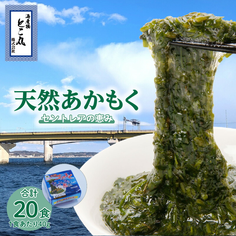 【ふるさと納税】天然 あかもく セントレアの恵み【2連パック×10】青しそ風味タレ付 解凍するだけ 海藻 アカモク 自然の恵み 冷凍便 簡単調理 スーパーフード 豊かな海の恵み 常滑産 天然海藻あかもく 惣菜 グルメ ミネラルたっぷり 和食 送料無料