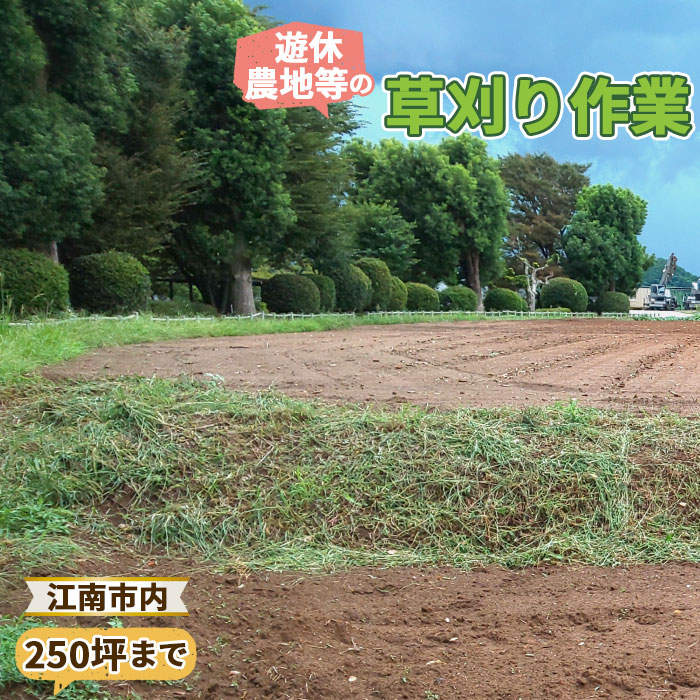 【ふるさと納税】遊休農地等の草刈り作業（250坪、825平方メートルまで） ／ 除草作業 草刈り作業 代行 耕作放棄地 遊休農地 草刈り 地域密着 清掃 お手伝い 草むしり 送料無料 愛知県 No.122