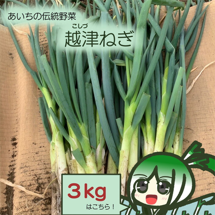 【ふるさと納税】No.138 越津ねぎ　約3kg ／ 甘み 柔らかい ネギ 送料無料 愛知県