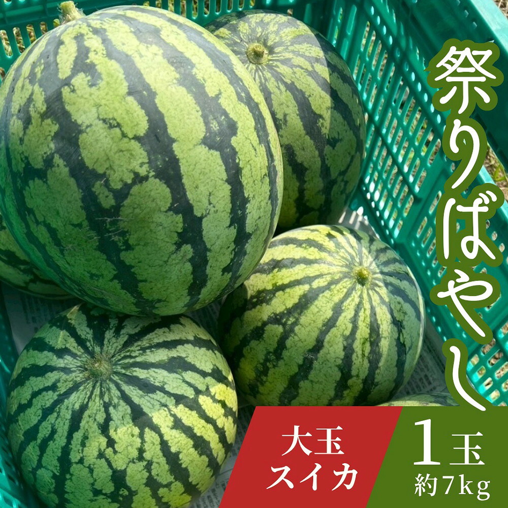 【ふるさと納税】すいか　祭りばやし　1玉（約7kg） ／ スイカ 祭りばやし 大玉 夏スイカ 夏 フルーツ 旬 果物 甘い シャリ感 高糖度 ギフト 贈答 季節限定 お中元 みずみずしい 食感 送料無料 愛知県 No.406