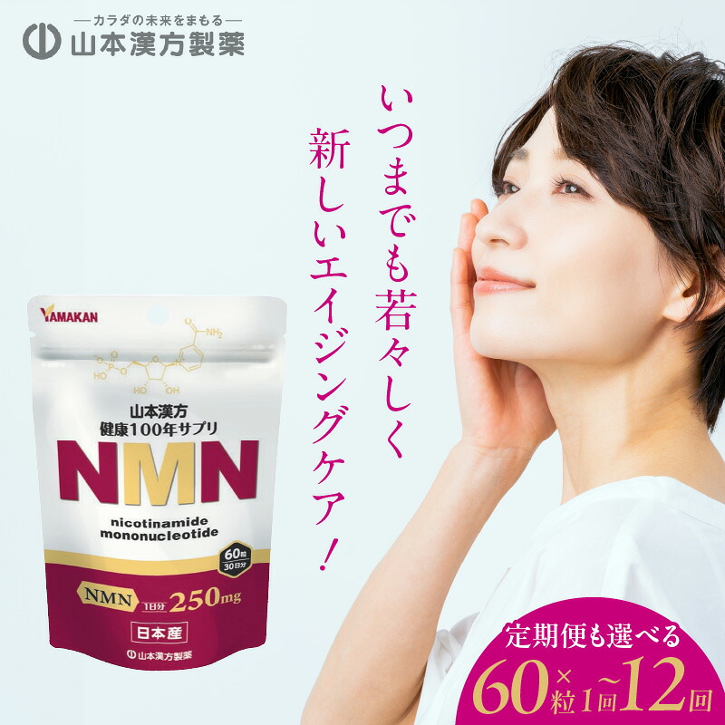 2027年 新春おせち｜小牧市のふるさと納税で迎える人並み外れたなお正月