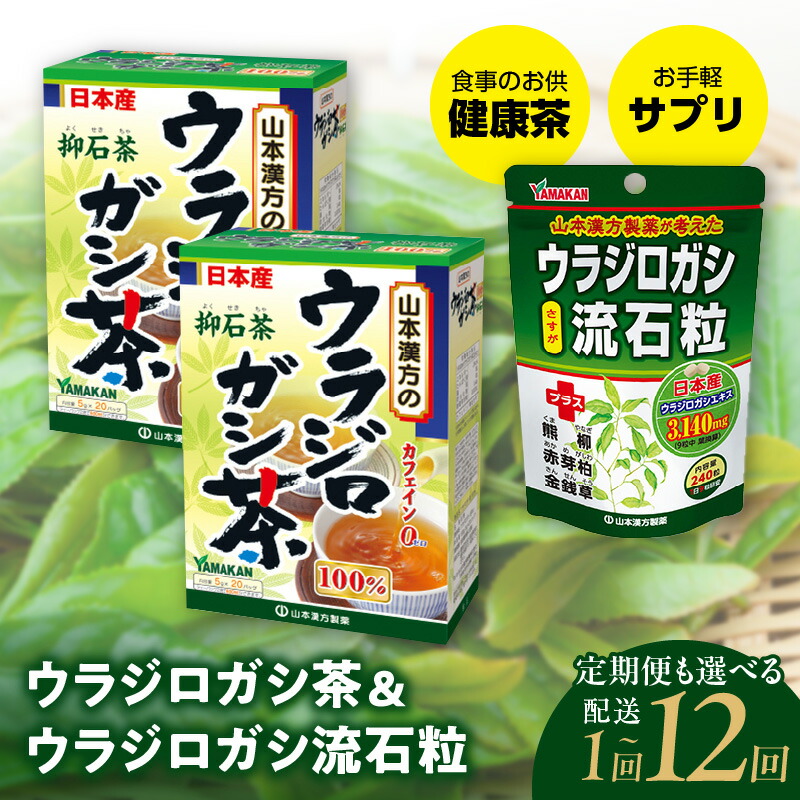 2027年 新春おせち｜小牧市のふるさと納税で迎える人並み外れたなお正月