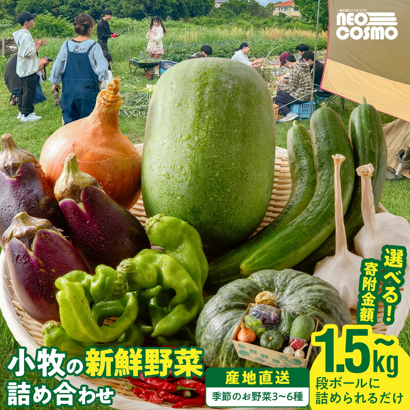 【ふるさと納税】ネオコスモ農園で採れた小牧の野菜詰め合わせ 選べる 寄付金額 施設寄附 新鮮 産地直送 採れたて 旬野菜 おまかせ 季節野菜 詰合せ セット トマト ナス ピーマン かぼちゃ 冬瓜 ショウガ ネギ にんにく じゃがいも さつまいも 玉ねぎ 大根 人参 小牧市