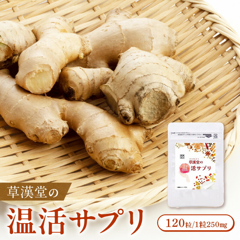 【ふるさと納税】草漢堂 温活サプリ カンキョウ末 12種類 和漢エキス 配合 乾姜 デキストリン カプセル 120粒 サプリメント サプリ 健康食品 ヘルスケア 健康 美容 温活 チャック袋 持ち運び便利 加工食品 食品 お取り寄せ 愛知県 小牧市 送料無料
