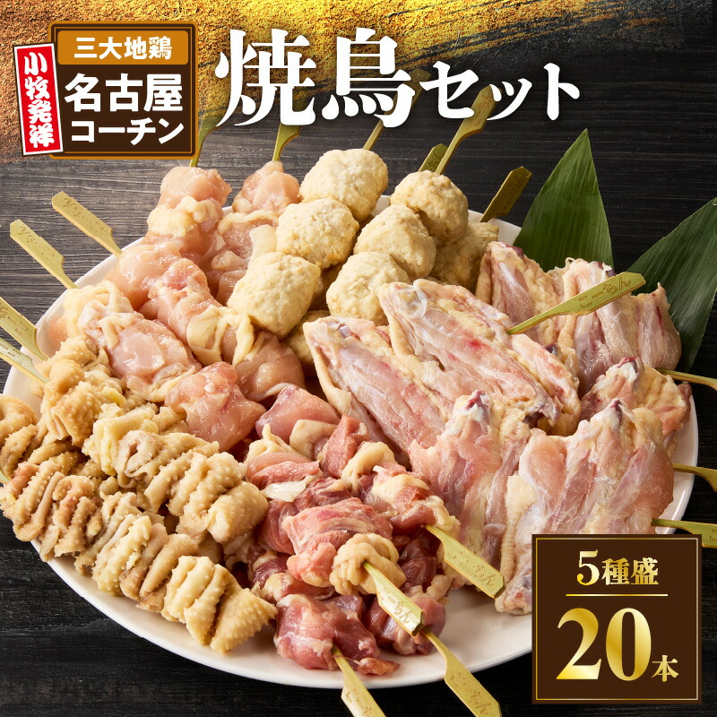 【ふるさと納税】名古屋コーチン焼鳥　5種20本セット（もも・むね・手羽中・皮・つくね）