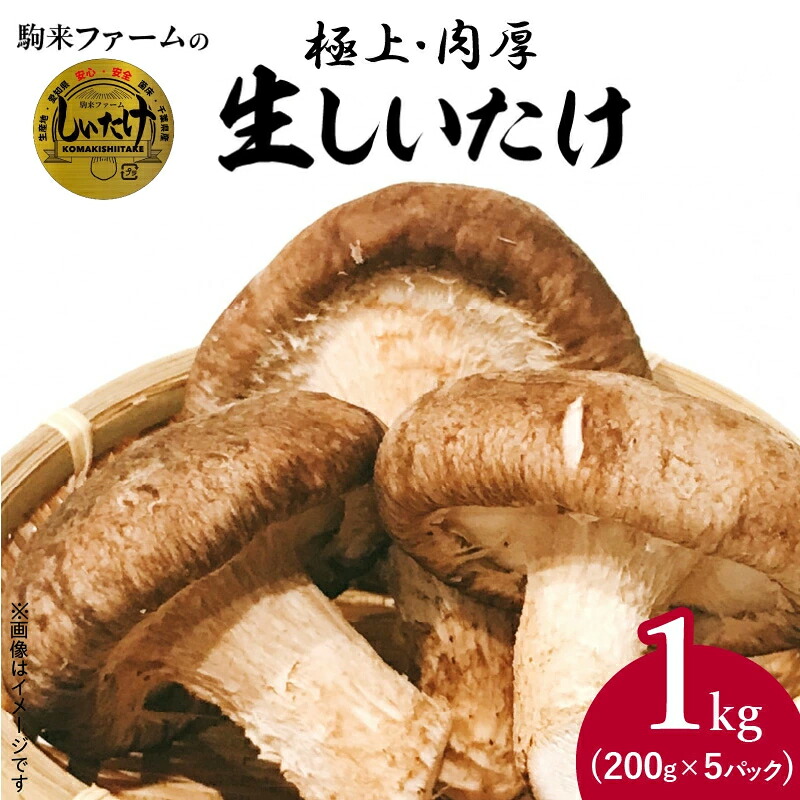 【ふるさと納税】駒来ファームの 極上・肉厚 生しいたけ　［ 極上 肉厚 生しいたけ 生シイタケ 生椎茸 安心 安全 国産 採れたて 新鮮 きのこ 野菜 ］