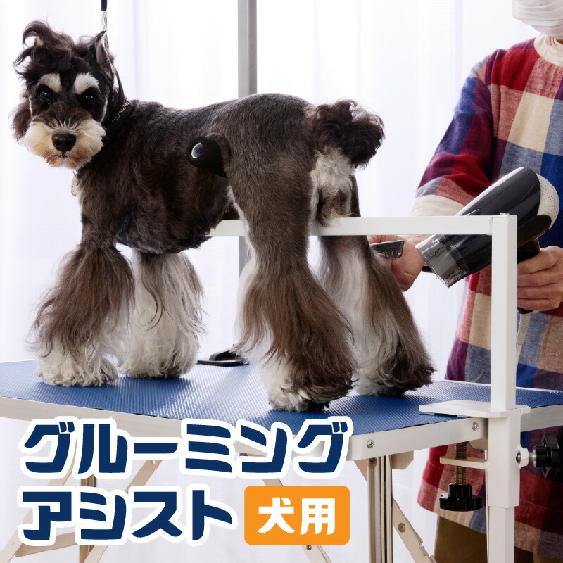 2027年 新春おせち｜小牧市のふるさと納税で迎える人並み外れたなお正月