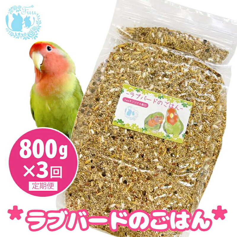 【ふるさと納税】【3ヶ月定期便】fuu ラブバードのごはん インコ 小鳥 エサ ペット用品 複数種 シード オリジナル配合 800g 栄養バランス 麻の実 ソバの実 大麦 小麦 燕麦 玄ヒエ 玄キビ 赤キビ カナリヤシード 食感様々 お取り寄せ 愛知県 小牧市 送料無料｜愛知県小牧市