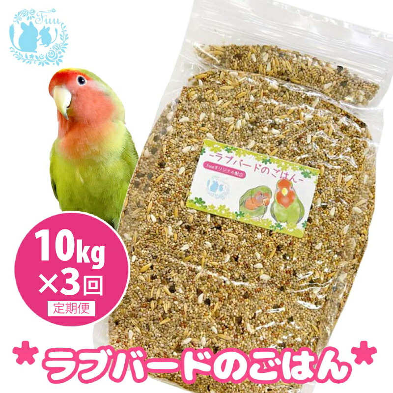 【ふるさと納税】【3ヶ月定期便】fuu ラブバードのごはん インコ 小鳥 エサ ペット用品 複数種 シード オリジナル配合 10kg 栄養バランス 麻の実 ソバの実 大麦 小麦 燕麦 玄ヒエ 玄キビ 赤キビ カナリヤシード 食感様々 お取り寄せ 愛知県 小牧市 送料無料