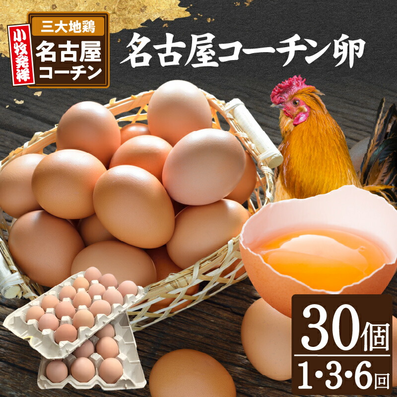 【ふるさと納税】名古屋コーチン 卵 30個 セット 1回 / 3回 / 6回 【配送回数が選べる】 単品 定期便 国産 仙寿卵 河瀬養鶏 地鶏 日本三大地鶏 鶏卵 新鮮 産みたて 濃厚 朝食 卵かけご飯 卵焼き 目玉焼き ゆでたまご 卵料理 お取り寄せグルメ 愛知県 小牧市 食品 送料無料