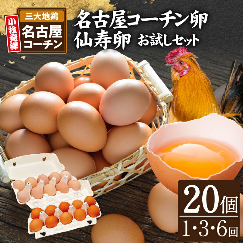 【ふるさと納税】 名古屋コーチン卵・仙寿卵お試しセット(各10個入り)  1回 / 3回 / 6回 【配送回数が選べる】 単品 定期便 国産 仙寿卵 河瀬養鶏 地鶏 日本三大地鶏 鶏卵 新鮮 産みたて 濃厚 朝食 卵かけご飯 卵焼き 目玉焼き ゆでたまご 卵料理 愛知県 小牧市 食品