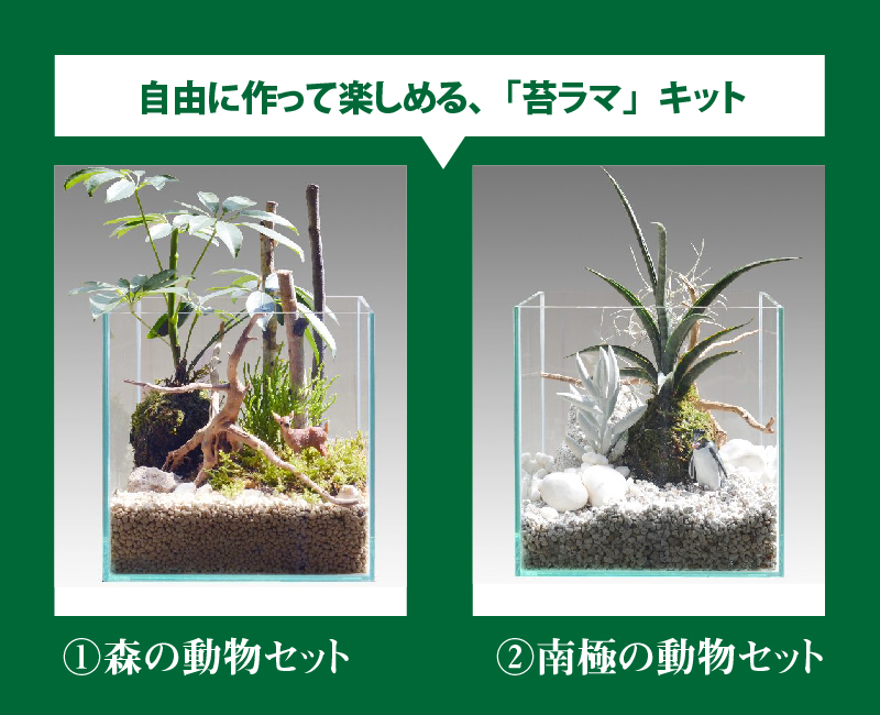 ふるさと納税 自分で作る癒しの空間 苔のジオラマ 苔ラマ キット フィギュア インテリア 観葉植物 多肉植物 和 癒し テラリウム Prescriptionpillsonline Is