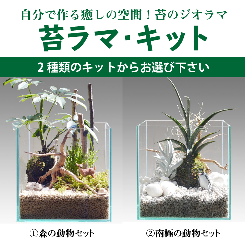 ふるさと納税 自分で作る癒しの空間 苔のジオラマ 苔ラマ キット フィギュア インテリア 観葉植物 多肉植物 和 癒し テラリウム Prescriptionpillsonline Is