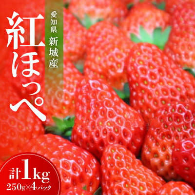 【ふるさと納税】愛知県新城産　紅ほっぺ　おまかせ4パック【配送不可地域：離島・北海道・沖縄県】【1548641】