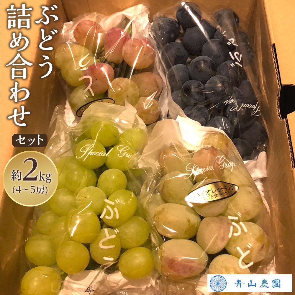 辛口ツインテール「鳥井 萌亜」(愛美金箔押しサイン入り) chaos 辛口ツインテール「鳥井 萌亜」(愛美金箔押しサイン入り) chaos 【公式